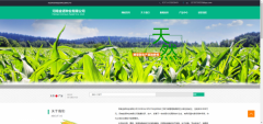 企業(yè)建網(wǎng)站提升網(wǎng)站質量
