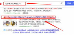 山東長(zhǎng)興商用汽車(chē)制造有限公司和本公司簽約網(wǎng)站開(kāi)發(fā)合同