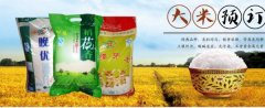 沭陽縣*源米業(yè)有限公司網(wǎng)站建設(shè)新一代自助建站、智能建站系統(tǒng)