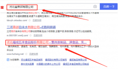 河北福成*豐食品股份有限公司網(wǎng)站建設基本流程
