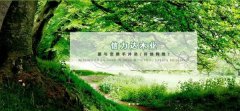 茌平縣*力達木業(yè)有限公司做網站基本流程