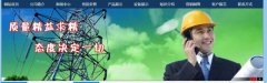 萊蕪市*新電器有限公司網站建設優(yōu)秀設計作品