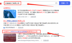 云南怒江州東*大峽谷生物城有限責(zé)任公司網(wǎng)站建設(shè)新一代自助建站、智能建站系統(tǒng)