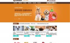 企業(yè)建網站用戶體驗具有整體性特征