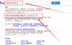 天津市天*科技發(fā)展股份有限公司網站建設基本流程