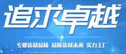 泉州*閣電子有限公司網(wǎng)站建設創(chuàng)意網(wǎng)站效果展示