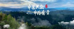 普洱淞*醫(yī)藥集團(tuán)有限公司網(wǎng)站建設(shè)新一代自助建站、智能建站系統(tǒng)