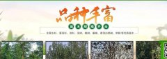 南縣盛*苗木種植有限公司做網站有創(chuàng)意的主題設計