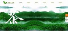 企業(yè)網(wǎng)站設計打造獨特風格