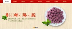 紅太*食品(榮成)有限公司制作網(wǎng)站新一代自助建站、智能建站系統(tǒng)
